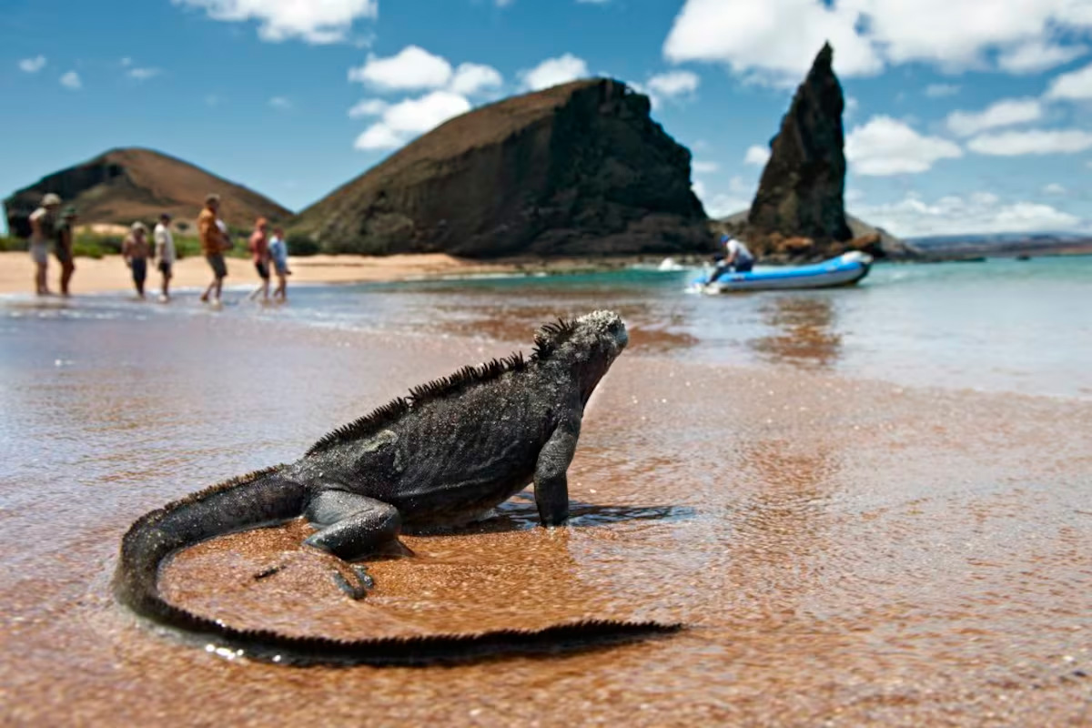 Galápagos